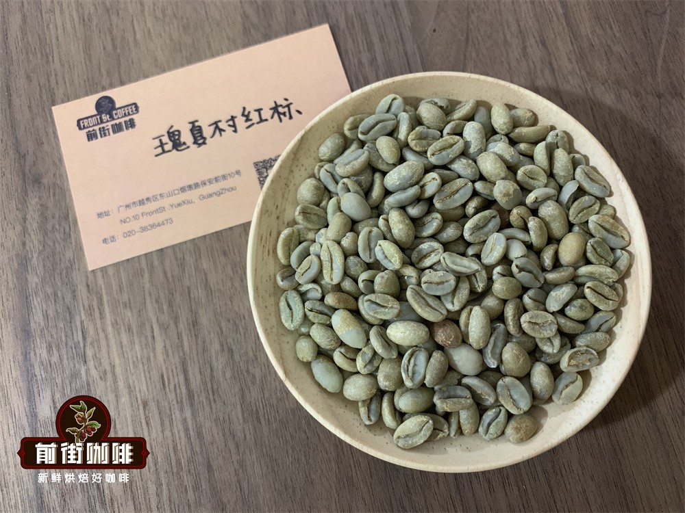 How to Choose Between Geisha and Jade Geisha? A Complete Analysis of Variety Characteristics and Brewing Recommendations