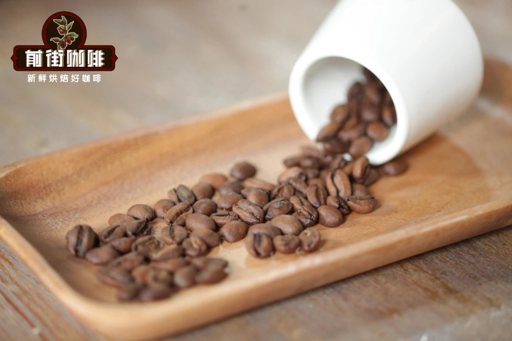 How to Make Cold Drip Coffee? Flavor Analysis + Suitable Bean Varieties + Beginner Brewing Tips