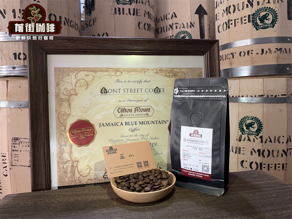 Jamaica Blue Mountain No.1 Pour Over Guide: Complete Flavor Extraction from Water Temperature to Three-Stage Pouring