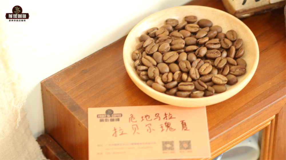 Where does Geisha coffee come from? A guide to Ethiopian heirloom varieties and brewing Red Label Geisha using pour over