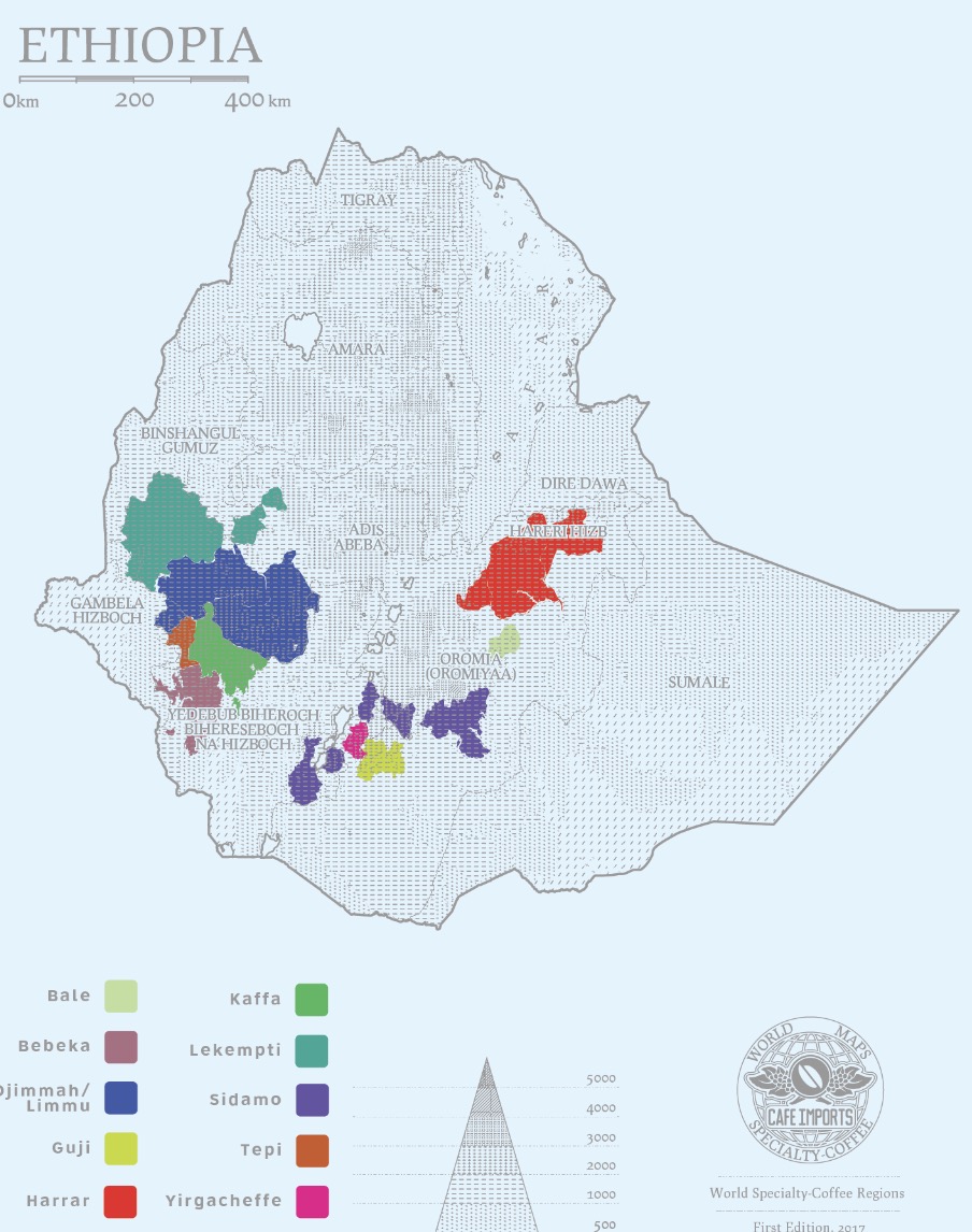 A Comprehensive Guide to the World's Top 10 Coffee Regions: Flavor Profiles, Pour Over Recommendations, and Starter Bean Lists