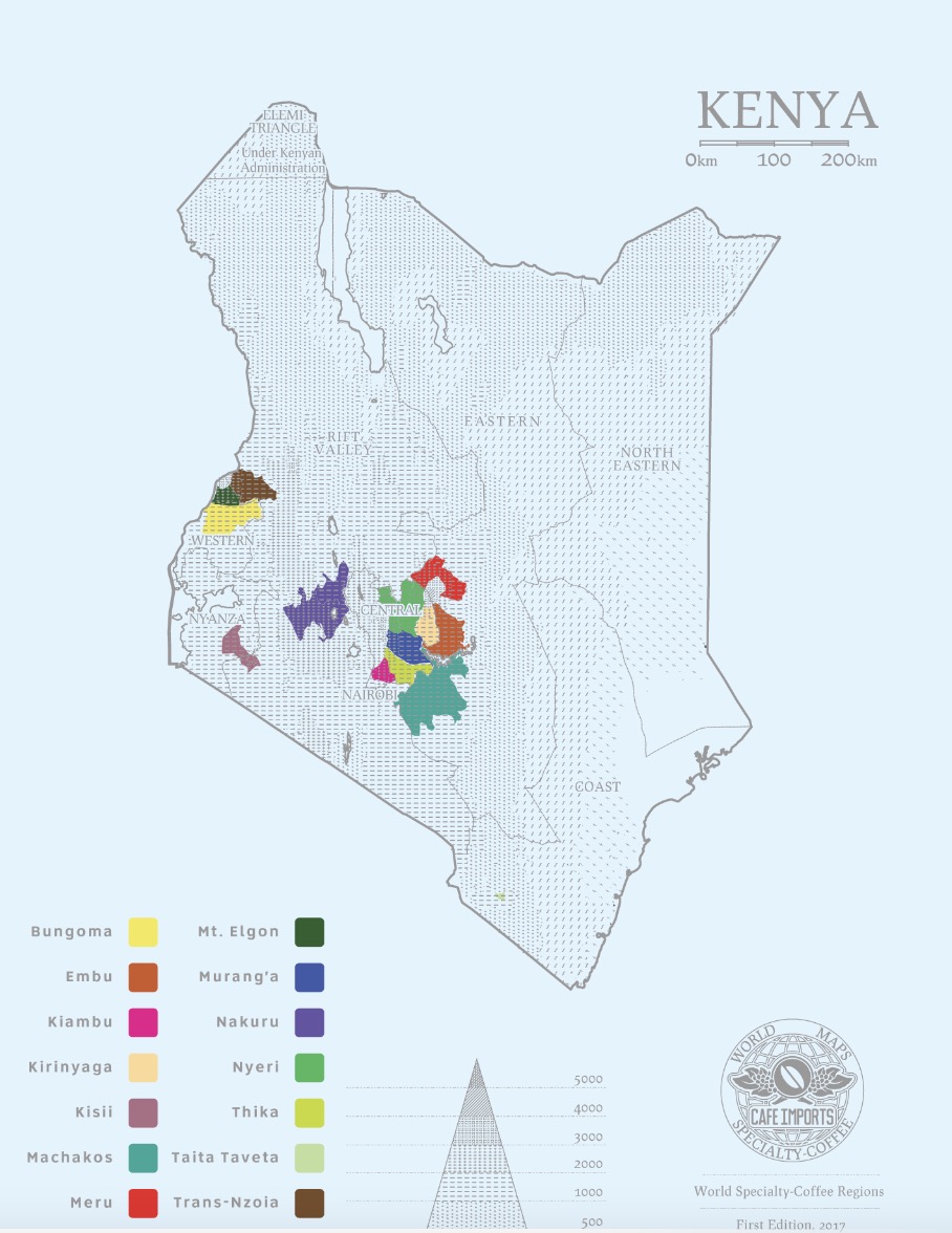 A Comprehensive Guide to the World's Top 10 Coffee Regions: Flavor Profiles, Pour Over Recommendations, and Starter Bean Lists