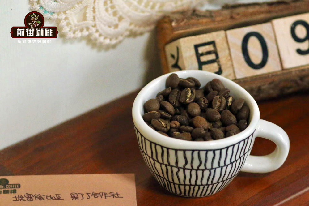 Complete Guide to Coffee Bean Varieties: From Arabica to Geisha, How Processing Methods Affect Flavor?