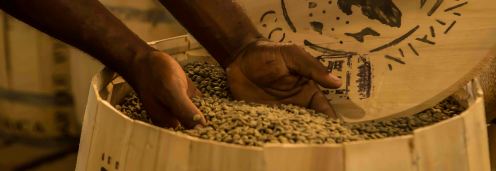 Complete Guide to Jamaican Blue Mountain Coffee: From Origin to Brewing, Teach You How to Identify Authenticity and Master Pour Over Parameters