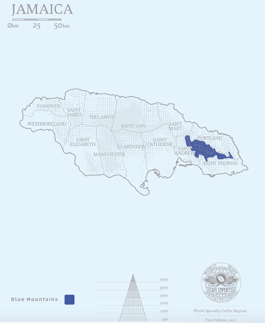 Complete Guide to Jamaican Blue Mountain Coffee: Origin Grading, Roasting Techniques, and Pour Over Parameters