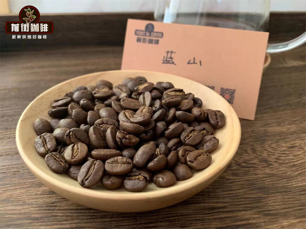 Jamaica Blue Mountain Coffee Grading Explained | Why is Blue Mountain No. 1 So Prestigious? Brewing & Flavor Guide