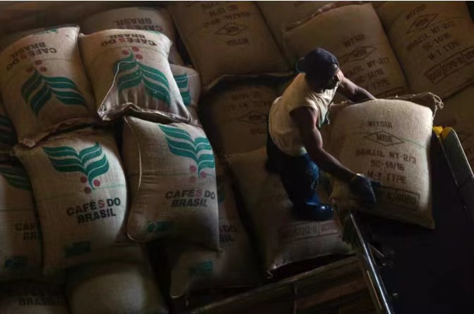 A Complete Guide to Brazilian Coffee Beans: Regional Characteristics, Processing Methods, and Pour Over Blending Applications