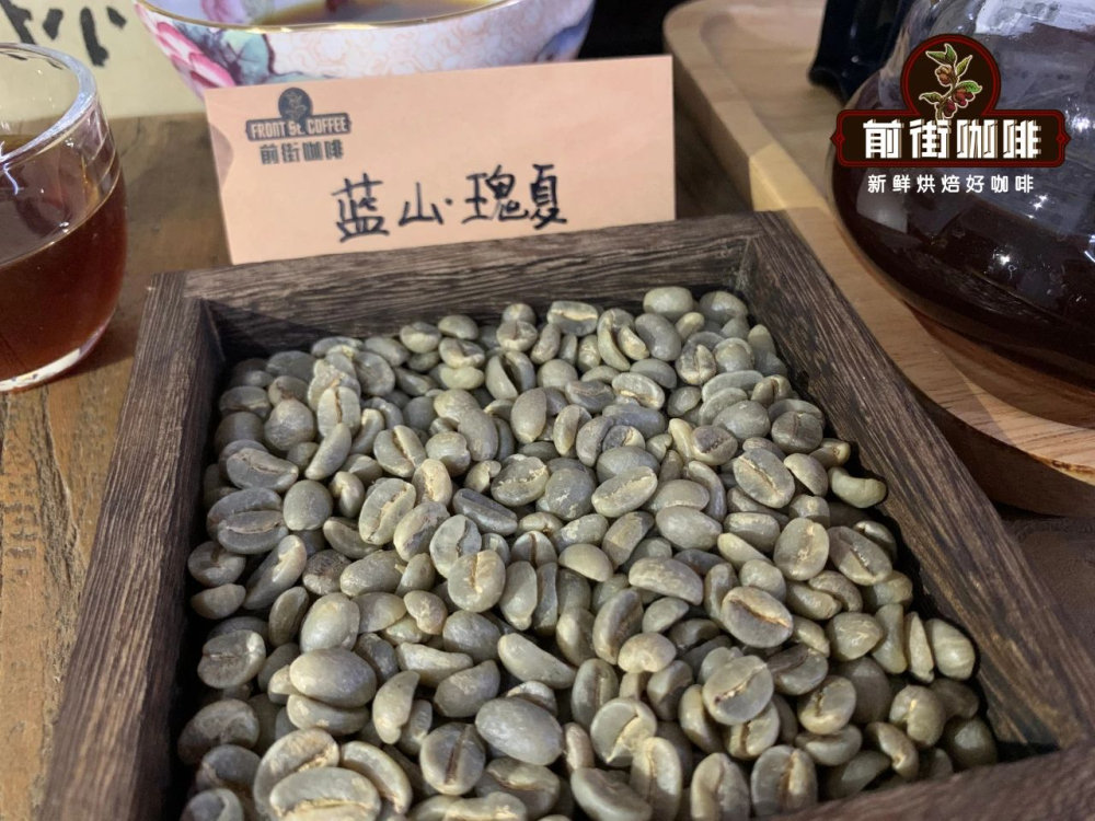 A Complete Guide to Panamanian Geisha Beans: From Origin to Jade Sun-Dried Pour Over Flavor and Brewing Secrets