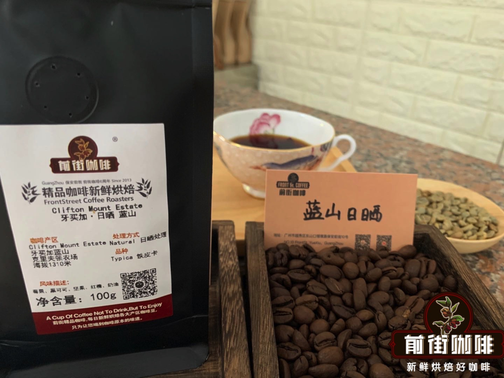 A Beginner’s Guide to Jamaican Blue Mountain Coffee: Production Areas, Grades, Processing Methods, and Pour Over Parameters