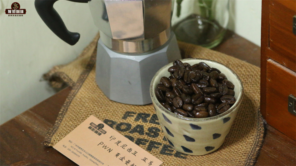 A Comprehensive Guide to Indonesian Mandheling Coffee Beans: Varieties, Wet-Hulling Process, and Pour Over Parameters