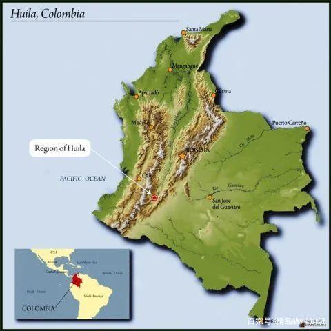 A Complete Guide to Colombian Coffee Bean Grades & Growing Regions | Pour Over Recommendations & Flavor Profiles