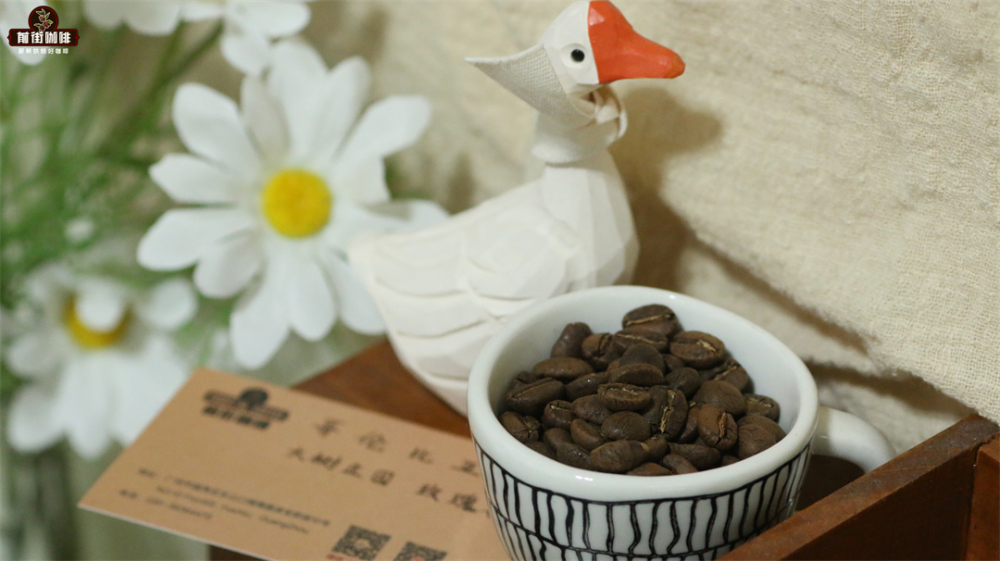 Recommended Coffee Brands from Colombia's Huila Volcano | Varieties, Processing Methods, and Best Brewing Suggestions