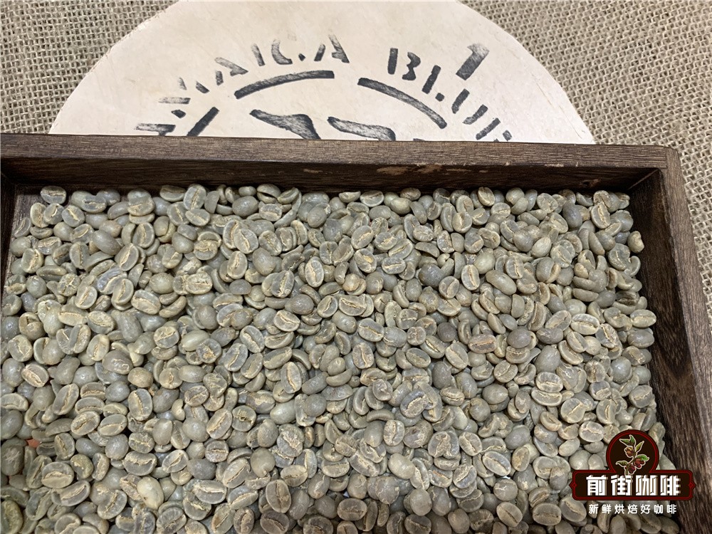 Jamaica Blue Mountain No.1 Pour Over Guide: Medium-Dark Roast Water Temperature, Grind Size, and Three-Stage Pouring Analysis