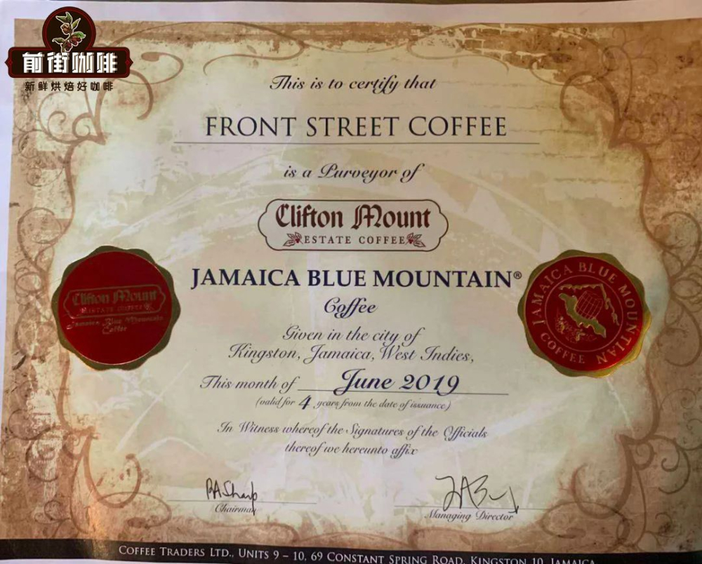 Complete Guide to Jamaican Blue Mountain Coffee: Terroir Grading, Processing Methods & Pour Over Parameters