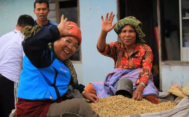 How to Choose Indonesian Golden Mandheling Coffee? A Complete Guide to PWN Certification, Flavor Profile & Pour Over Parameters