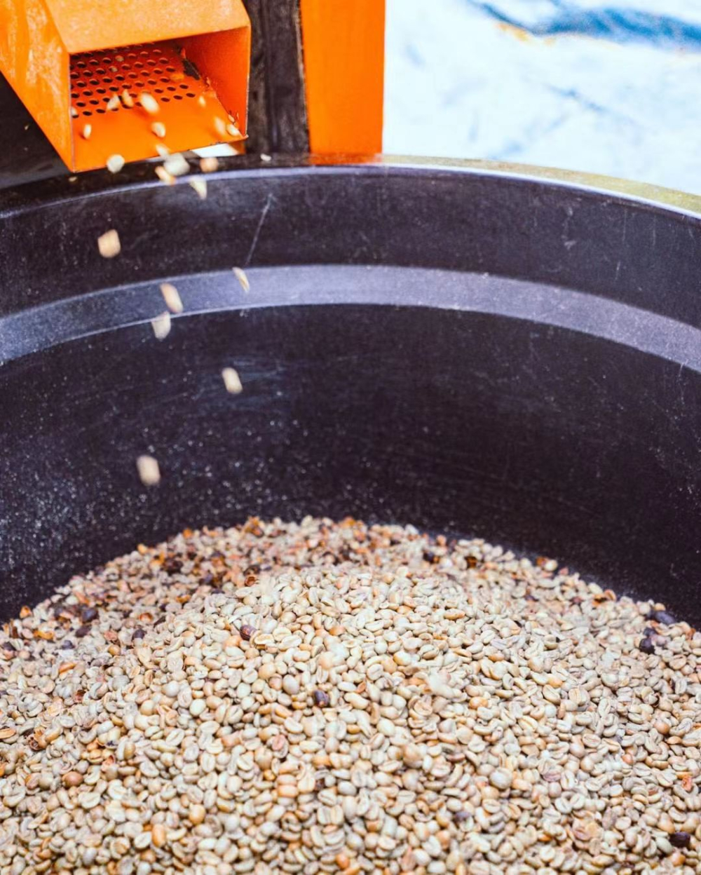 Indonesian Mandheling Coffee Bean Grading & Golden Mandheling Flavor Analysis | Complete Pour Over Parameters and Techniques Guide