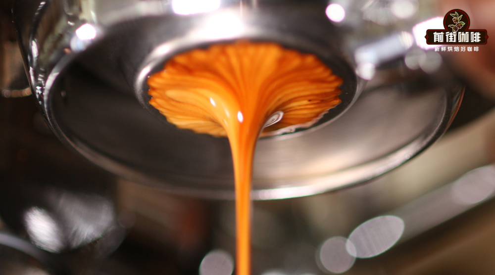 Complete Guide to Espresso: Master Extraction Techniques, Parameter Settings, and Flavor Appreciation in One Go