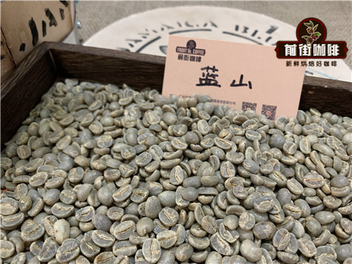 How to Choose Jamaican Blue Mountain No. 1 Coffee? A Complete Guide to Pour Over Parameters and Flavor Profile
