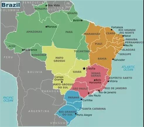 A Guide to Brazilian Coffee Bean Regions, Varieties, and Pour Over Flavors | Pulped Natural Processing and Brewing Parameters