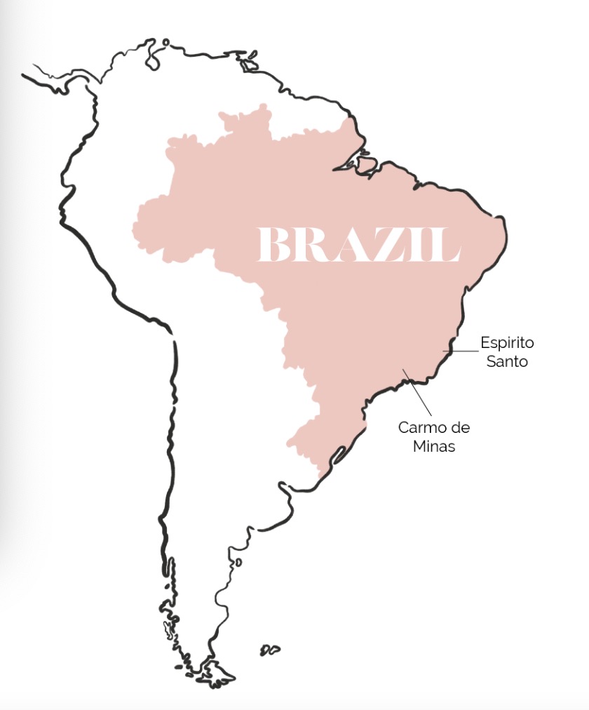 Brazilian Bourbon Santos Coffee Beans: Flavor Analysis, Grading Standards, and Pour Over Tamping Practical Guide