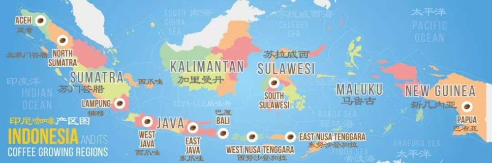A Complete Guide to Italian Extraction Settings for Indonesian Mandheling & the Origins of Golden Mandheling