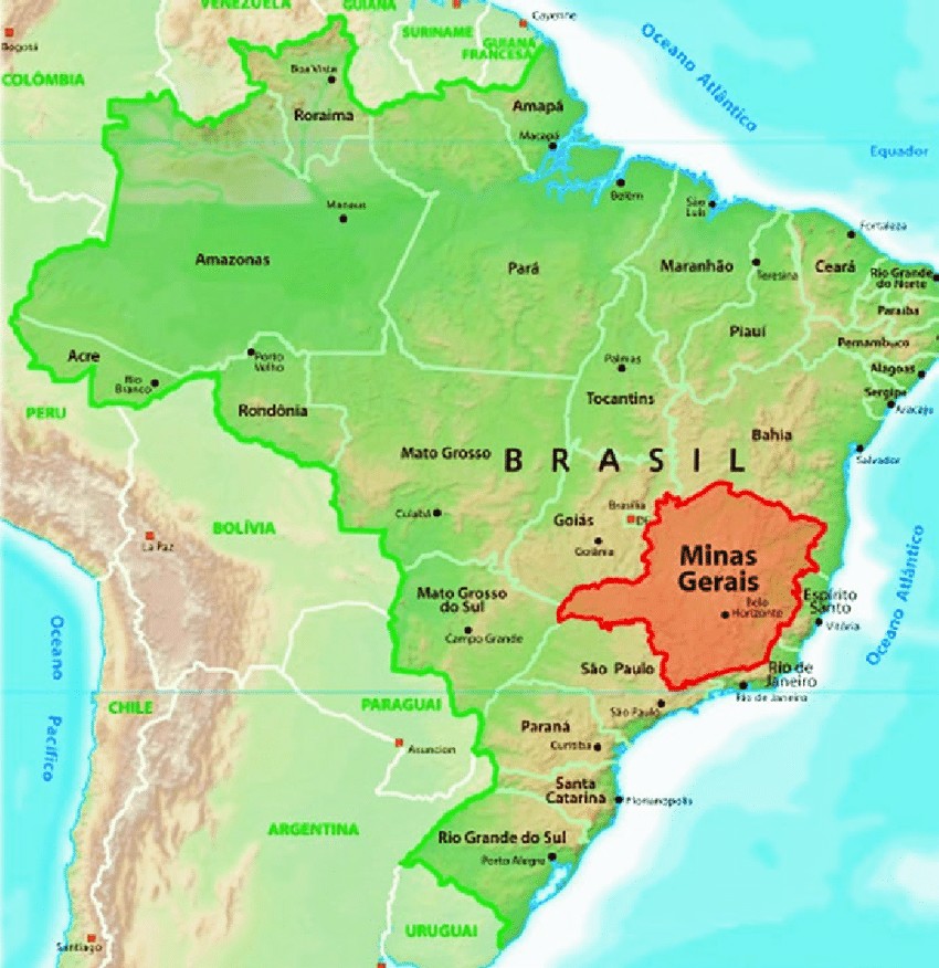 Complete Guide to Brazilian Cerrado Coffee: Varietal Flavor, Pour Over Parameters, and Extraction Steps
