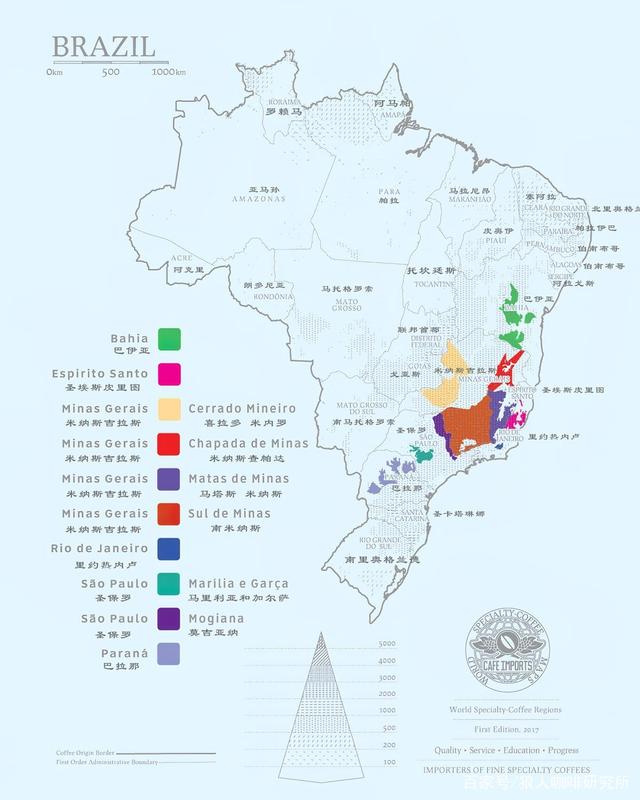 Analysis of Brazilian Coffee Bean Grading and Regional Characteristics: A Comprehensive Guide from Defect Rate to Cupping Flavor