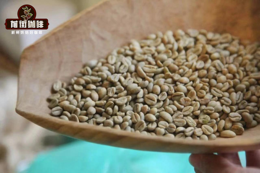 A Comprehensive Guide to the World’s 16 Premier Specialty Coffee Regions: Differences Between Green and Roasted Beans & Pour Over Parameters