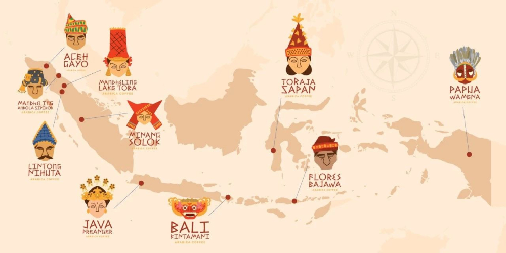A Comprehensive Guide to Sumatra Mandheling Flavor Profile & Golden Mandheling Pour Over Settings