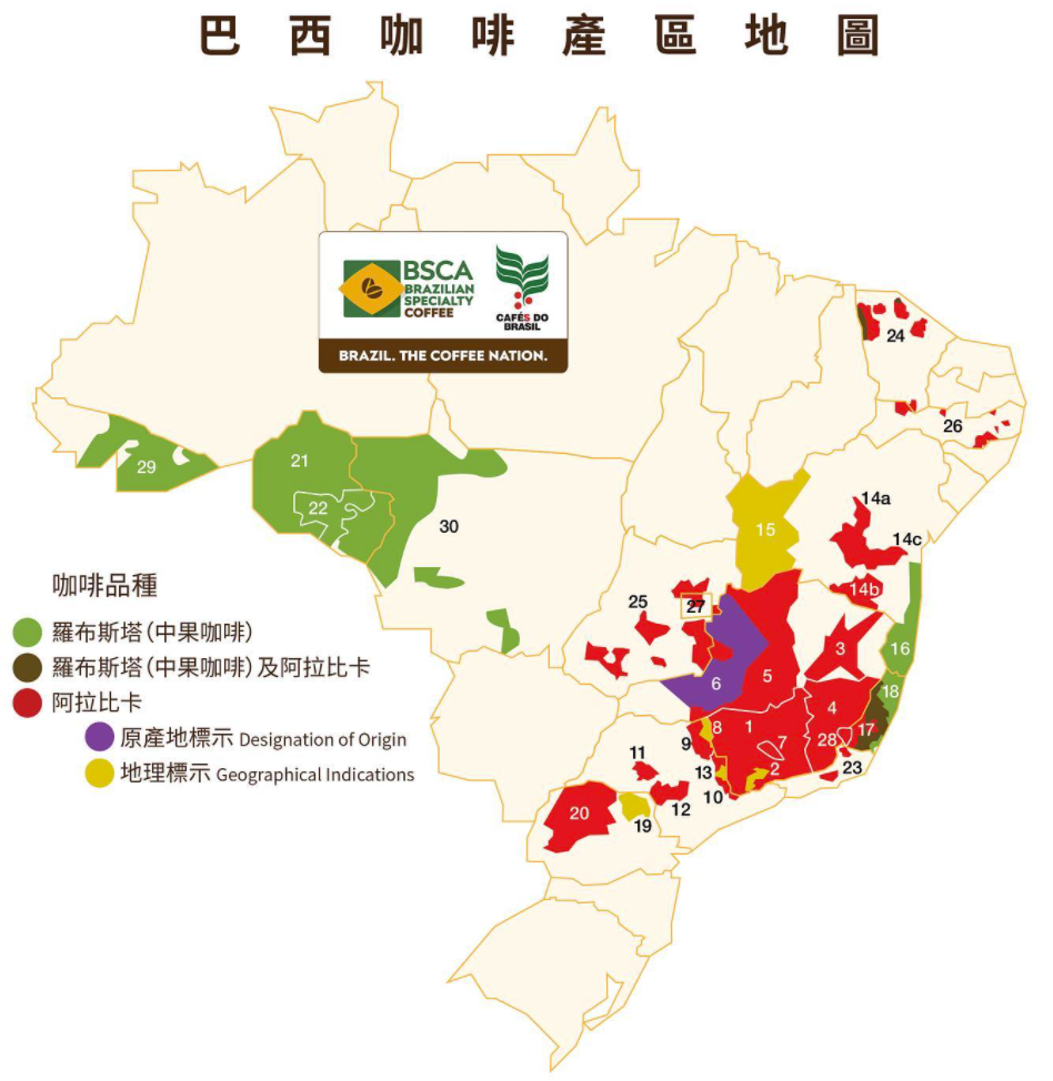 How to Use Brazilian Coffee Beans? A Complete Guide to Choosing SOE & Espresso Beans, Regions & Processing Methods
