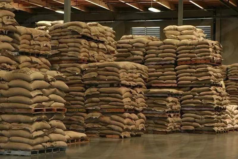 Complete Guide to Brazilian Coffee: From Regions to Brewing, Get to Know Sidamo and Mogiana Beans in One Go