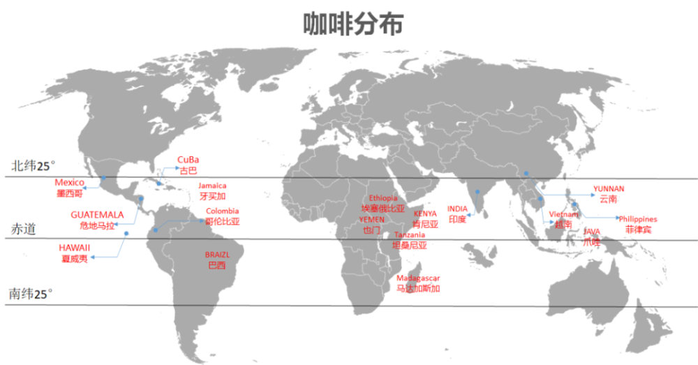 A Comprehensive Guide to Yunnan Arabica Small-Bean Coffee: Varieties, Flavors, and the History of Its Growing Regions