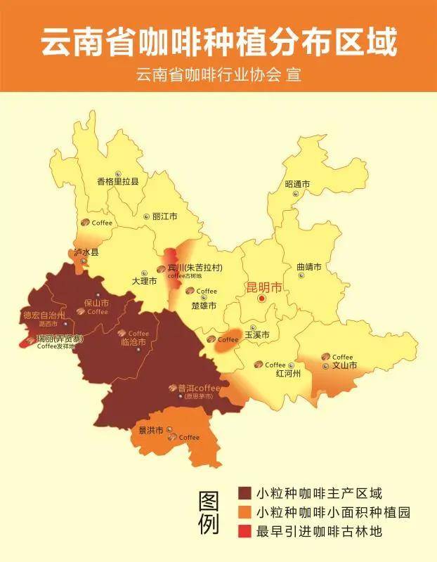 Yunnan Typica Pour Over Guide: Regional Characteristics, Processing Methods, and Precise Extraction Parameters