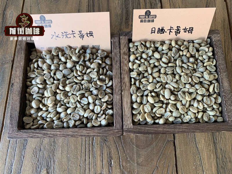 Yunnan Typica vs. Catimor Pour Over Showdown: Regional Flavor Profiles, Processing Method Differences, and Optimal Extraction Parameters