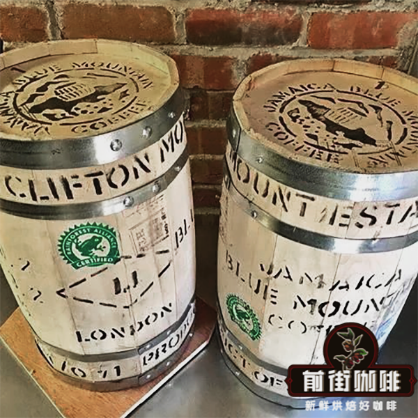 Complete Guide to Jamaican Blue Mountain Coffee: Planting, Brewing, Typica Variety, Clydesdale Grade & Flavor Profile