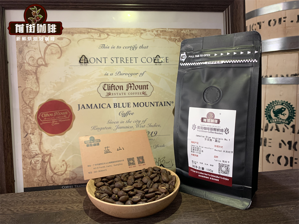 A Complete Guide to Identifying and Pour Over Brewing Blue Mountain Coffee: Certification, Flavor, and Proper Extraction Methods
