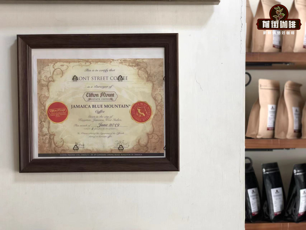 Complete Guide to Jamaican Blue Mountain Coffee: Grading Standards, Regional Characteristics, and Pour Over Parameters