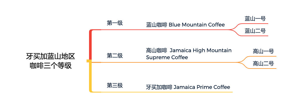 Complete Guide to Jamaica Blue Mountain No.1 Grade & Brewing | Flavor Profile & Extraction Parameters Analysis