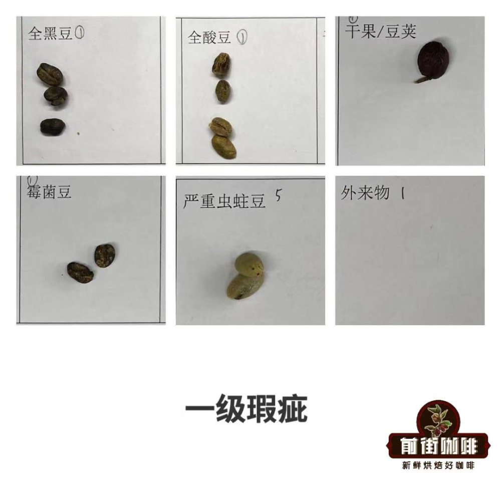 Indonesian Mandheling Coffee Bean Grading & Golden Mandheling Flavor Analysis | Complete Pour Over Parameters and Techniques Guide