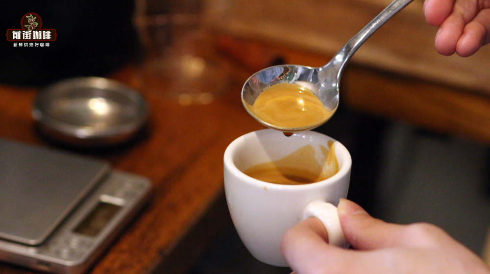 Espresso Beginner's Guide: A Complete Breakdown from Definition to Extraction and Tasting