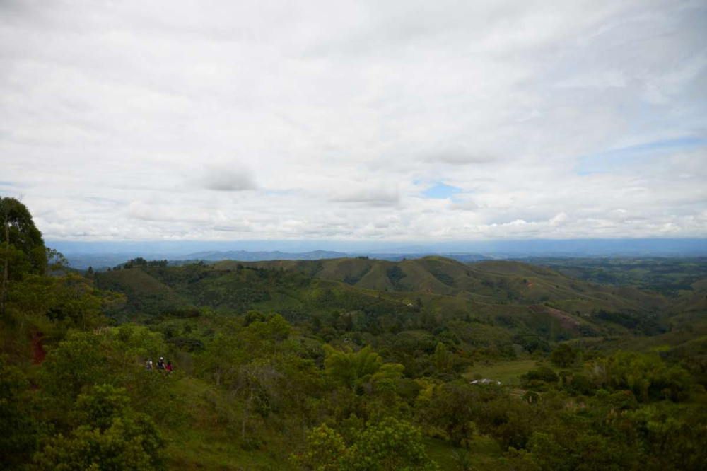 How to Brew Colombian Huila Coffee? Complete Regional Flavor Analysis & Pour Over Parameters Tutorial