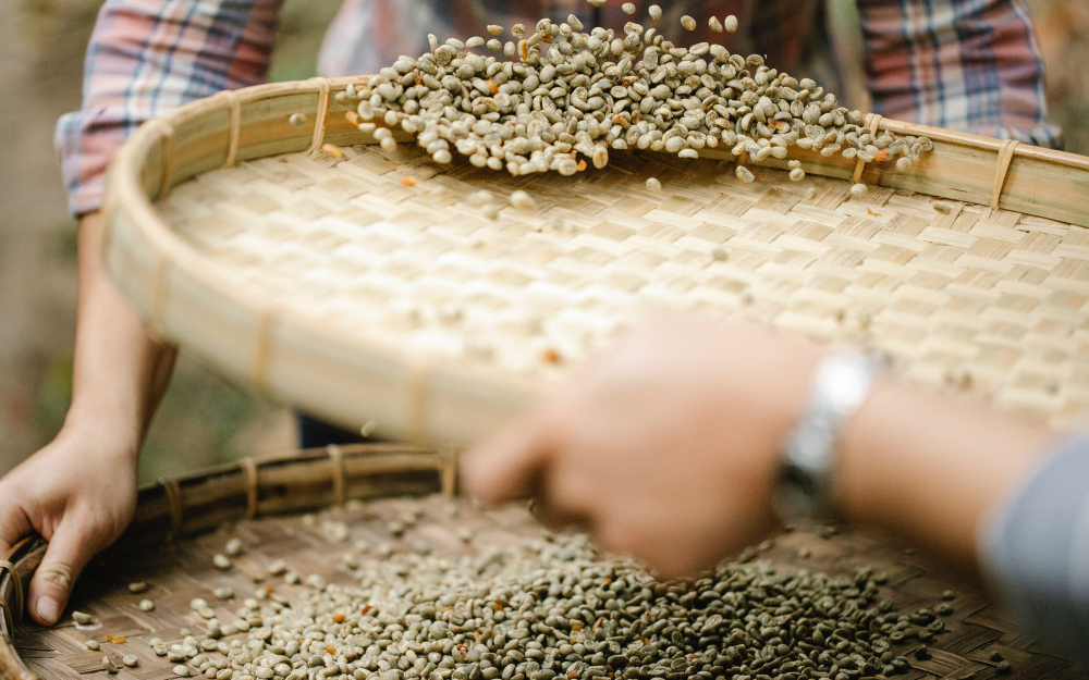 Getting Started with Pour Over Colombian Coffee: From Geisha Anaerobic to Huila Washed — Mastering Flavors and Parameters All in One Go