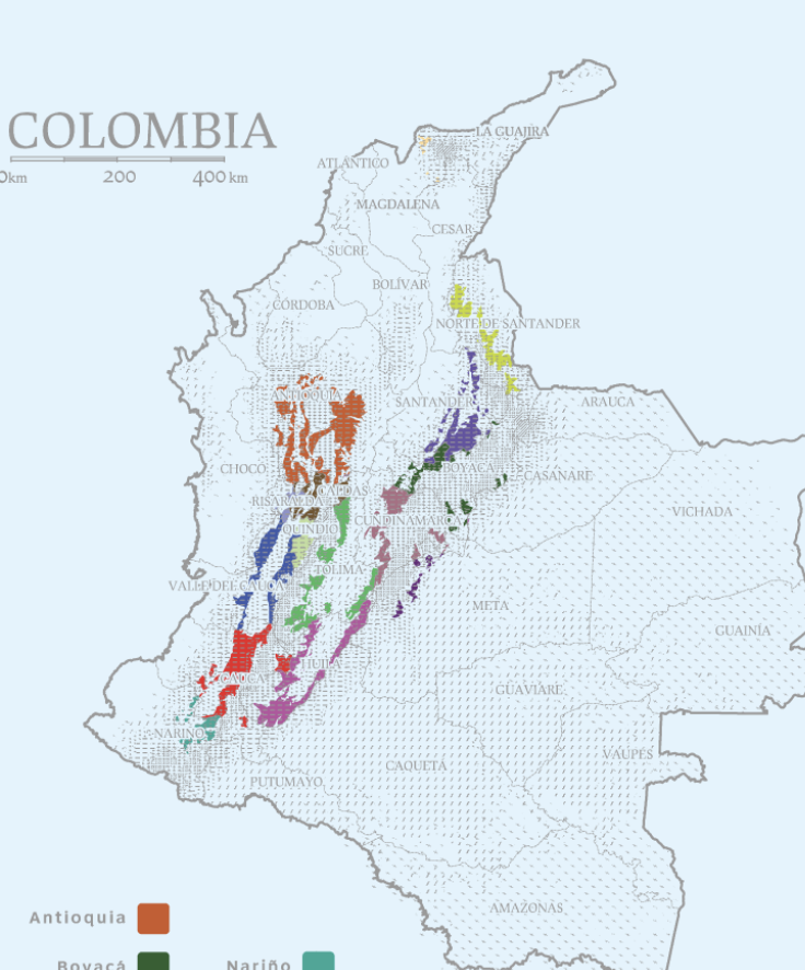 A Comprehensive Guide to Colombian Huila Coffee: Regional Terroir, Washed Processing, and Pour Over Parameters
