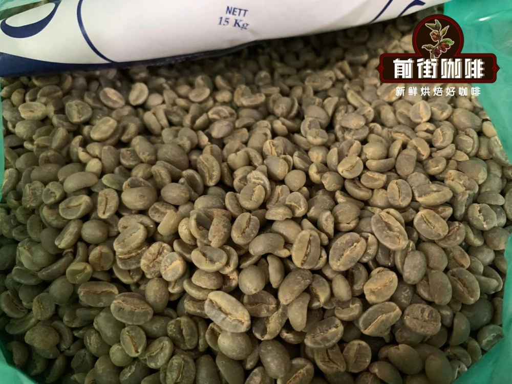 Jamaica Blue Mountain Coffee Identification Guide: A Comprehensive Analysis from Growing Altitude to Flavor Characteristics