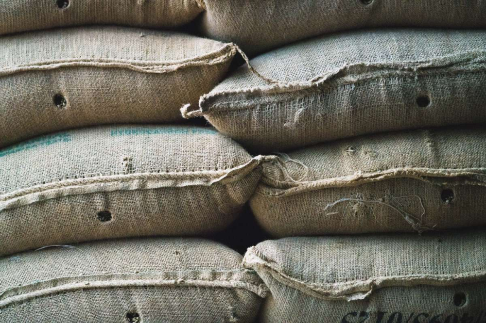 Front Street Coffee Tutorial: Pour Over with Yellow Bourbon from Brazilian Queen Estate - A Complete Guide from Origin to Brewing Parameters