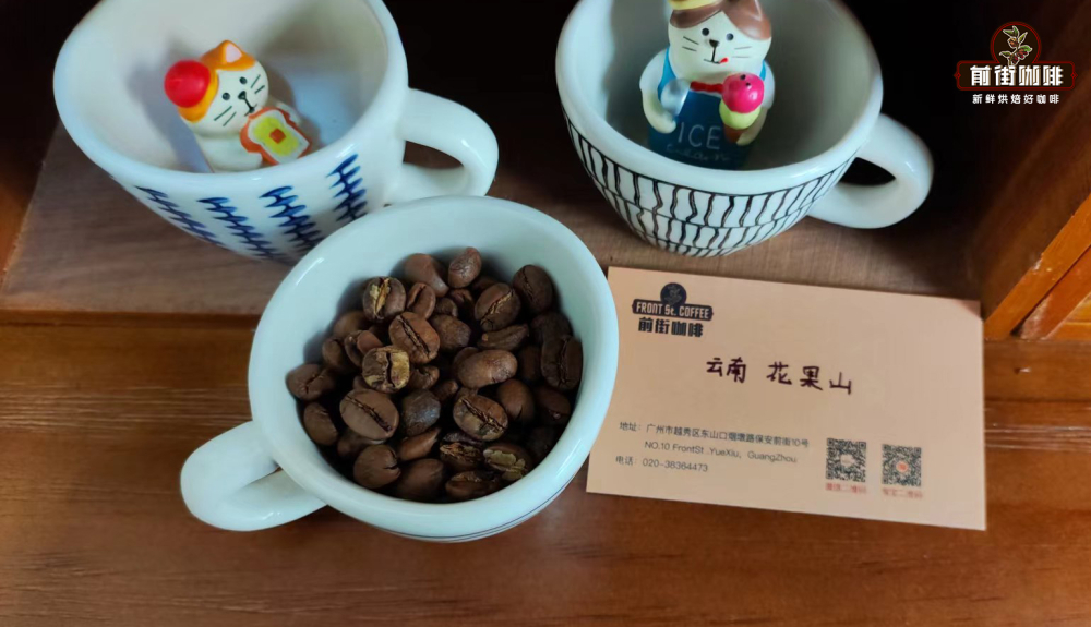 In-depth Analysis of Yunnan's Three Major Coffee Varieties: Typica, Catimor, and Bourbon — Flavor and Roasting Guide