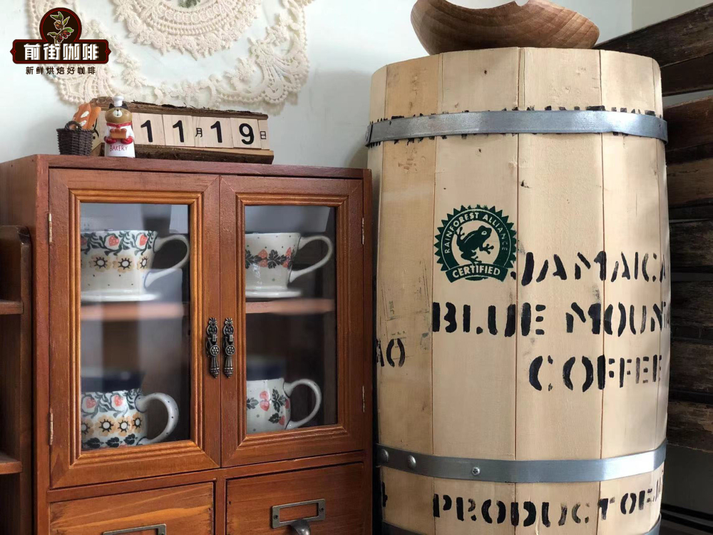 How to Identify Authentic Blue Mountain Coffee & Brew It Perfectly | Understand from Packaging to Flavor in One Go