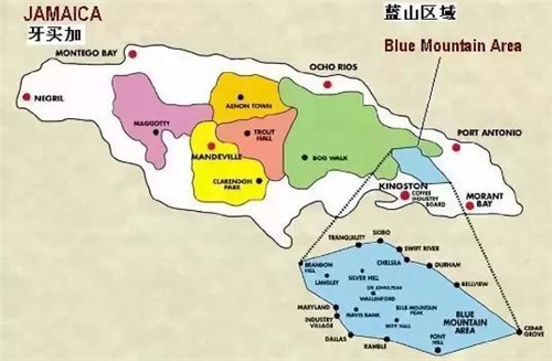 Complete Guide to the Jamaican Blue Mountain Region: Three-Tier Classification & Brewing Parameters for Washed & Natural Processes