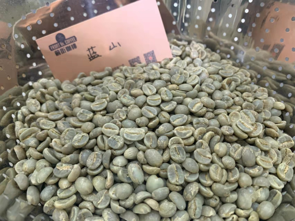 Complete Guide to the Jamaican Blue Mountain Region: Three-Tier Classification & Brewing Parameters for Washed & Natural Processes