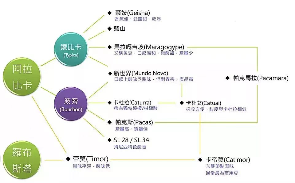 Are Arabica beans black coffee? What brewing methods are suitable for high-quality single-origin beans and what are the recommendations